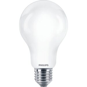 Détails visibles de Ampoule LED E27 A67 17,5W 2700K 2452lm CorePro pour Ampoules E27