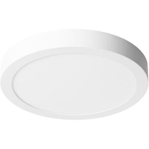 Prolumia - Pro-Ceiling Ø300xH39mm app max 30W IP40 2700-3000-4000K blanc dimmable - 40001730