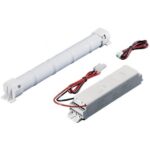 SCHNEIDER EMERGENCY LIGHTING - Batterie EVX R8NCL/T Ni-Cd HT 6 V 4 Ah stick - OVA43037