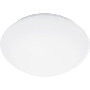 Détails visibles de Plafonnier LED à détecteur intérieur RS PRO P2 EM pour Éclairage de secours