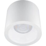 TECHNOLUX - LEDDownlight-P-Surface-Module-Rd125 - 540098018200