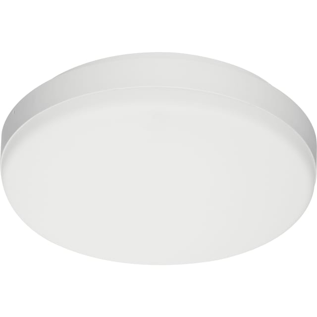 TECHNOLUX - LEDWall-Mounted-E2 Rd275-22W-EM3 - 522020001200