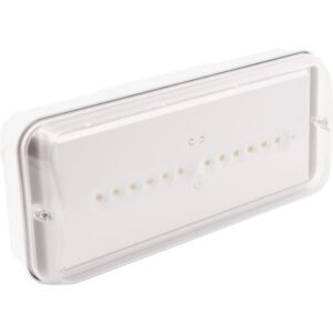 Bloc de secours LED étanche IP66 autotest, montage Pose murale/au plafond