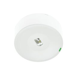 Bloc de secours LED rond blanc 250 lm 1 h, montage Pose murale/au plafond