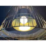 Ampoule LED globe G95 E27 8W 2700K dimmable, finition blanc, vue complémentaire 1
