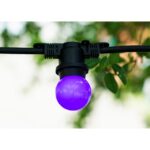 Ampoule LED fête sphérique G45 E27 violet IP44, finition autre, vue complémentaire 6
