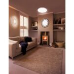 Panneau LED plafond saillie 300x600 22W 4000K, configuration visible, vue complémentaire 1