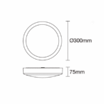 Plafonnier LED rond IP66 CCT Ø300 blanc, vue complémentaire 3