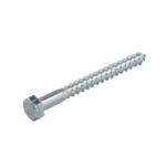 PROFTEC - Tirefond zingué 4.6 SW13 DIN571 8x80 (25) - 5350.01.62401
