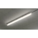 L x B 665 x 80 mm