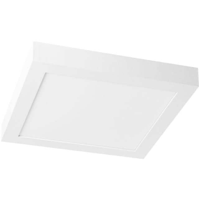 Prolumia - Pro-Ceiling 300x300xH39mm app max 30W IP40 2700-3000-4000K blanc dimmable - 40001830
