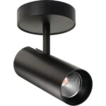 Détails visibles de Spot plafond orientable noir 2700K variateur pour Spots en saillie
