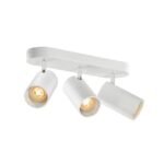 SLV Belgium - ASTO TUBE luminaire monté au plafond cylindrique max 3 x 10 W blanc - 1006428