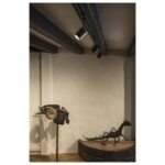 Spot sur rail monophasé orientable noir GU10 BIMA I – Image 6