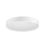 Plafonnier ou applique murale blanc, 220...240 V, vue complémentaire 1