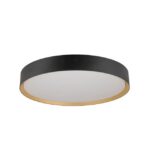 Plafonnier LED noir or 23W, 220...240 V, vue complémentaire 2
