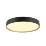 Plafonnier LED noir or 23W, 220...240 V, vue complémentaire 3