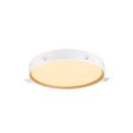 Plafonnier LED noir or 23W, 220...240 V, vue complémentaire 5