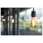Adaptateur rail triphasé Eutrac noir 230V 145990 – Image 4