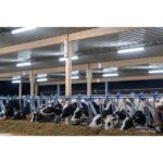 Réglette LED tubulaire étanche 42W 4000K IP67, configuration visible, vue complémentaire 4
