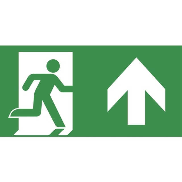 VAN LIEN - Horizon pictogramme ISO 7010 mural sortie de secours vers le haut - 7TCA091350R0480