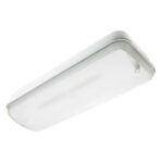 Bloc de secours LED non permanent IP65 AutoTest, montage Pose murale/au plafond