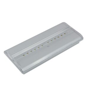 Bloc de secours LED autotest 1h IP42 IK04, montage Pose murale/au plafond
