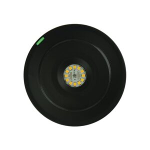 Détails visibles de Bloc de secours LED AutoTest sur rail noir 375 lm 1 h pour Éclairage de secours