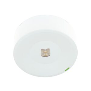 ZEMPER - SPAZIO ON W SMARTZ 250lm P/NP 1h IP42/IK04 BLANC 230V 50Hz - LSM3252LWP