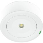 Bloc secours LED AutoTest 250 lm 1 h IP42, montage pour montage en saillie/à encastrer