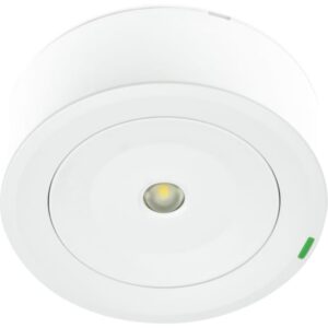 ZEMPER - SPAZIO PLUS IN AUTOTEST 250lm P/NP 1h IP42/IK04 BLANC 230V 50Hz - LSP3255LXP