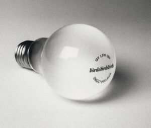 Ampoule LED dimmable 12V 1,5W 100lm 2600K, forme et finition du produit visibles