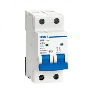 Disjoncteur automatique 2P 40A 6kA courbe C, forme et finition du produit visibles
