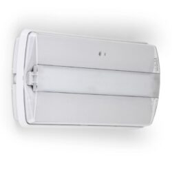 Luminaire de secours LED 3h 320 lm IP42 IK07 L10203/3, configuration et finitions visibles