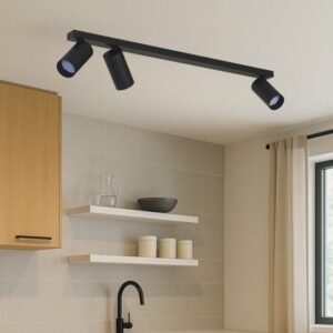 Spot plafonnier noir MONO III, forme et finition du produit visibles