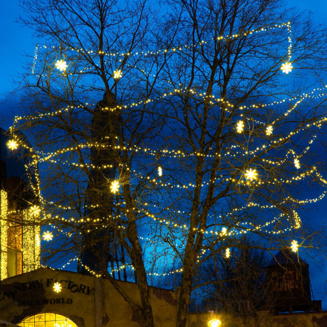 Arbres au crépuscule décorés de chaînes lumineuses et petits motifs suspendus blanc chaud